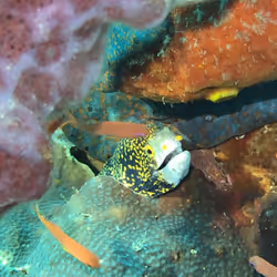 80965803268169370603932631570667161375508893671094224909166963942394481868801