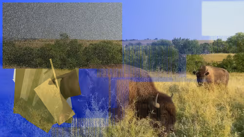 Item #105089968166921690156624725616502706642431777719922472152070405721662779555841 Media