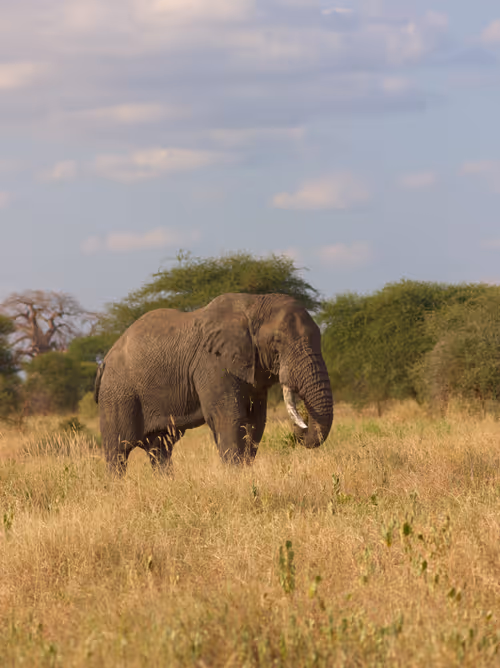 Item #97390858549290517915673057044451120522321858296040786888435299462796957188097 Media