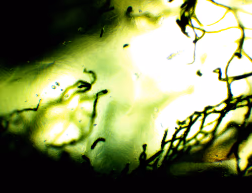 Item #71646257518770613568983710813551014237803002136866425209291834558457703301121 Media