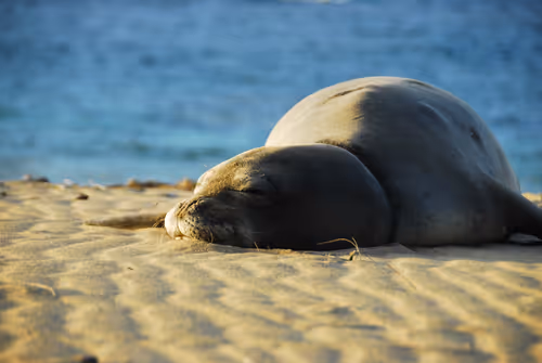 Item #82668664347853387025205030792162106913974488761724448252059371103793702764545 Media