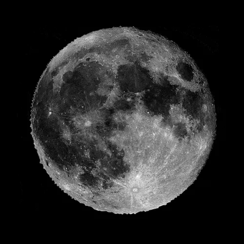 Item #4583203688154496710464576617550160289260541301864270714739251371477148106753 Media