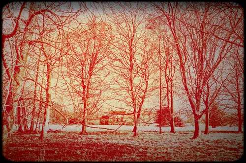 Item #95930744612989253264341458363878669706731092846429446161851759013641846784001 Media