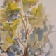 Artsarity's watercolor landscapes