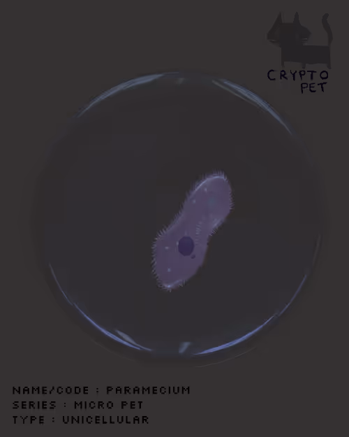 Item #80222651933581901548922172864470920076001324330369819955385891534574343684097 Media