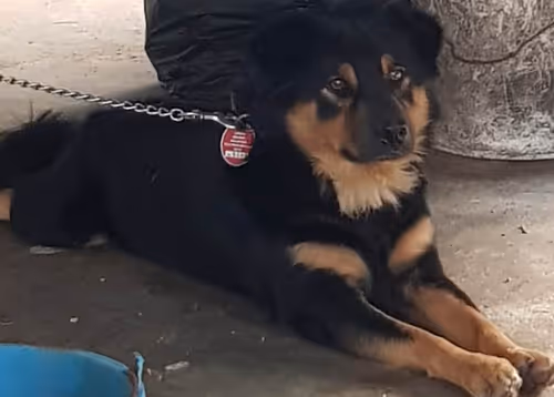 Item #56055091060271351536523847984853154360378800009370414984463609042677494972417 Media