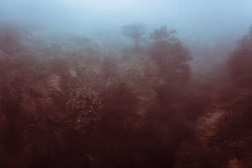 Item #52978072630702396718123333469587862928086080569557562316609005670213737250817 Media