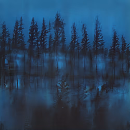 Item #47559451843736372481830899747083495530740509927607212916086401421877071314949 Media