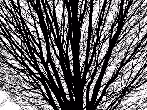 Item #13665938074563914331498291329920780757136253607588816979915017112285855350785 Media