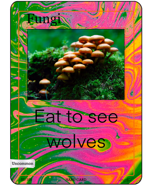 Item #64983343354440460478949369577107733247942492091796441794851447318153506324490 Media