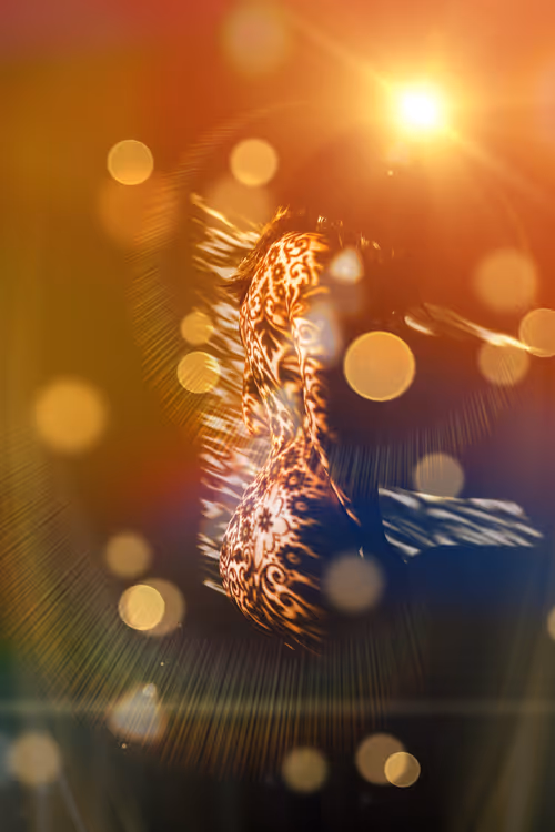 Item #40498021365110625873163859620955492987361950717153146364459205438647815897089 Media