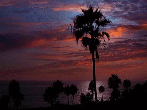 Item #59132355562186324700850821844442436394047262304885251221794294012805524750337 Media