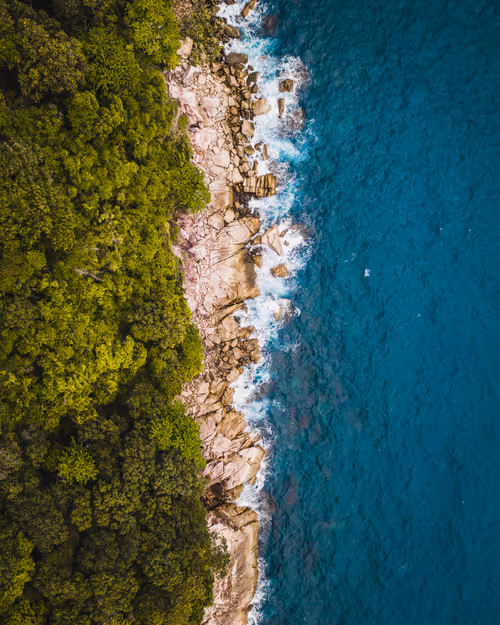 Item #36803766187647196690517014366493952358167166362150973793678746438913581121537 Media