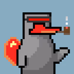 Platy Punk #1279