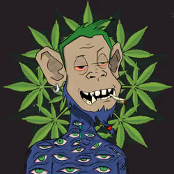 MONKEYHYPE #1949