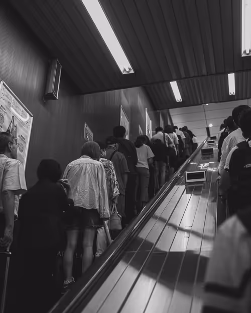 Item #95633765474931350240165697288740384276668175365753332134829565068445862592513 Media