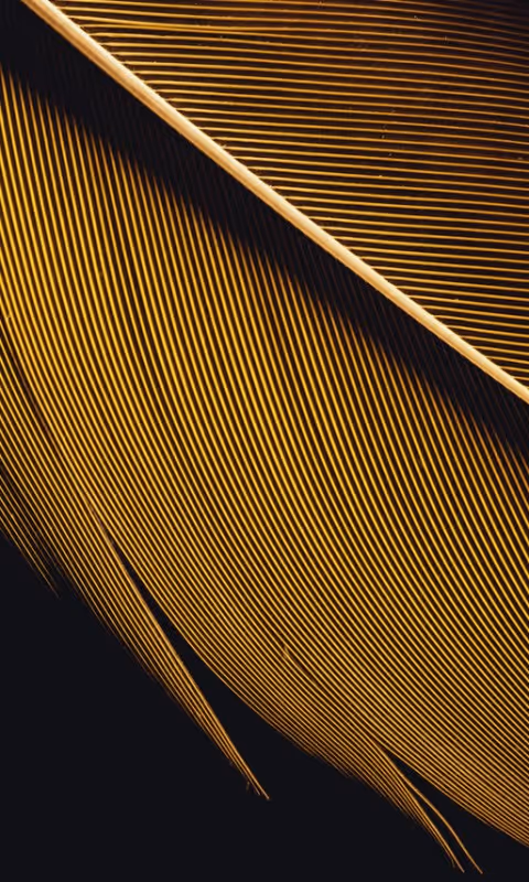 Item #26995902061274754589171932508183889662269510357141596457267559126093086588929 Media