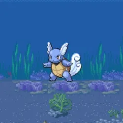 Wartortle #008