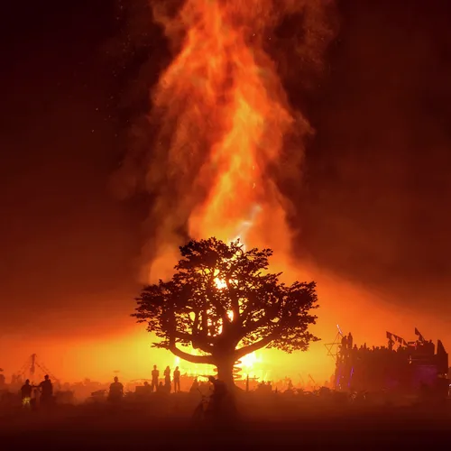 Item #96475701516811371815276227977766131962669887094423874457871336921297472978945 Media