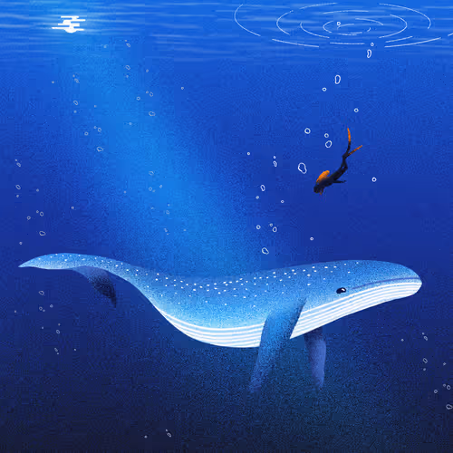 Item #22595162815532753526113839877592438025422193508415084898168917364389623889921 Media