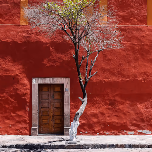Memories of Mexico