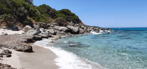 Beppo1986 Collection