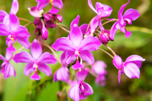 ABProject Collection