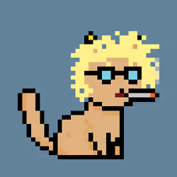 PunkCat #5429