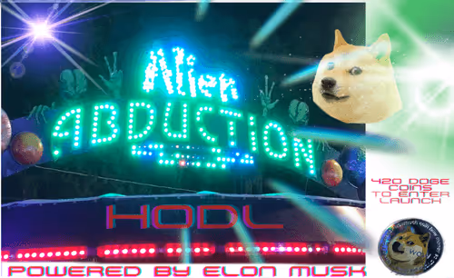 Elon's Wild Rides