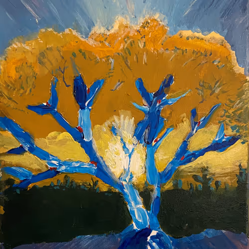 32429347255769162682189199460736802958491788542897441164058398279785028517889