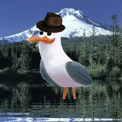 Bored Seagull Club- Mt. Hood Seagull