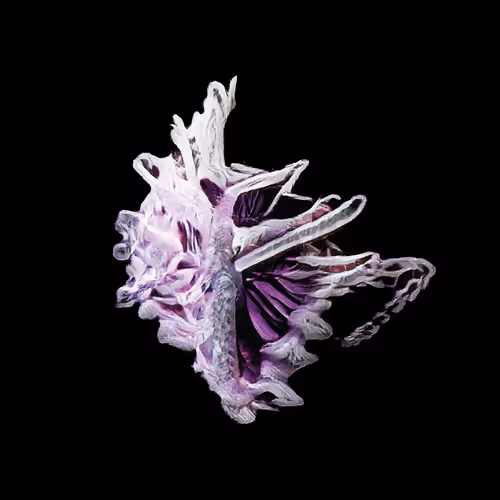 Diatomorigins