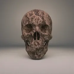 Skull #4