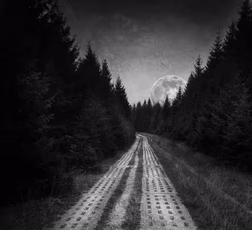 Item #40160686583094733528677484039903516258611509642019211679321071397896561098753 Media