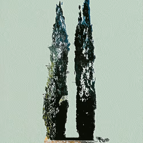 Untitled Collection #504754882 - old V3