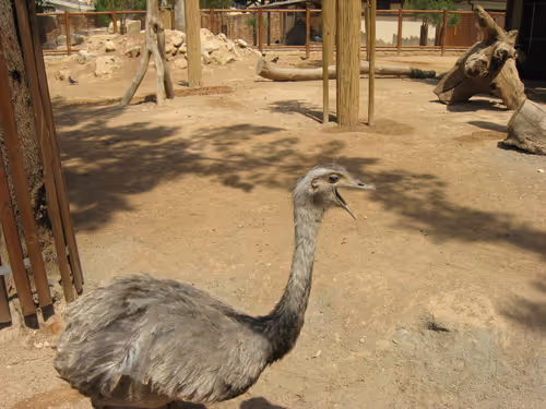 Item #49780404214023394125628081485635193078207366864253774489702248299320798347265 Media