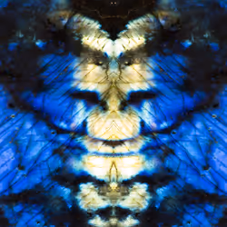 86322865835249178422551085128691778807953829915868126837986678419495428554753