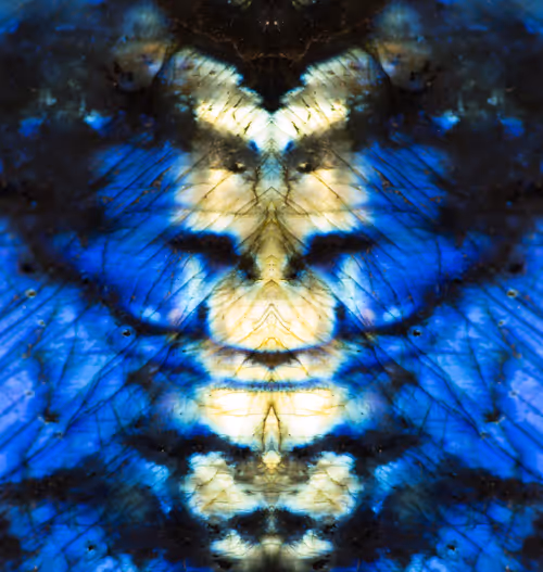 Item #86322865835249178422551085128691778807953829915868126837986678419495428554753 Media