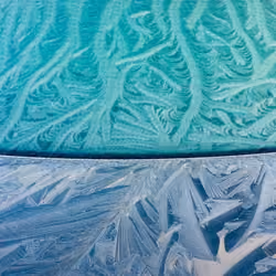 Freeze