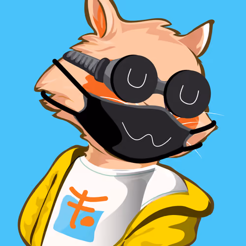 Raccoon-113
