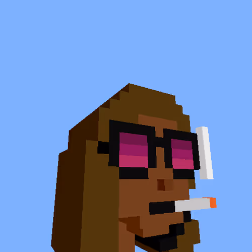 PunkVoxels #9066