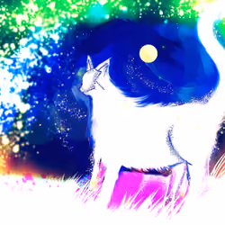 white moon【白月】