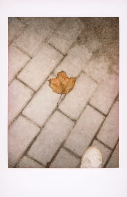 Item #106002358755633072780688393344306535131574018413591107715624238115220547960833 Media