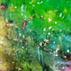 Nebula Series I
