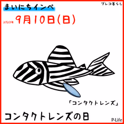 81664083123670143983968740139941474364733981378414170565535213001276204777473