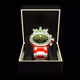 Billion Watch XMAS 2021 Edition