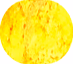 gn_10