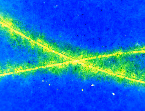 Item #71646257518770613568983710813551014237803002136866425209291834336356354490369 Media