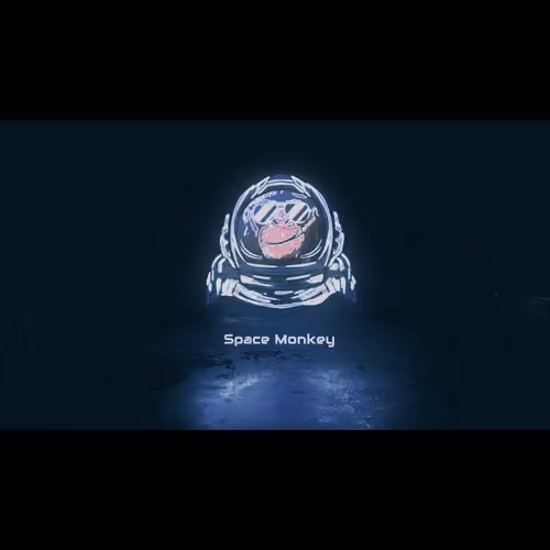 Space Monkey - Are You Ready For Space?