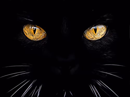 Item #110213645020075302487079303023421545584770299765815398461250951463583180914689 Media